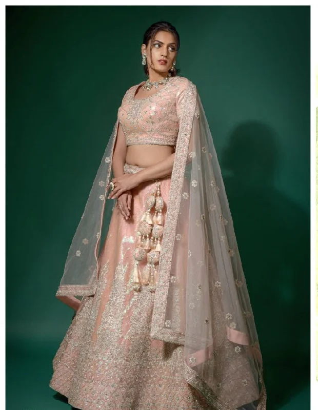 Autumn dresses for fall fashionParvati Pink Coloured Soft Net  Lehenga Choli - Rent