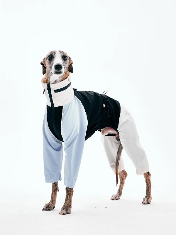 tops suitable for all seasons for menDog Raincoats
