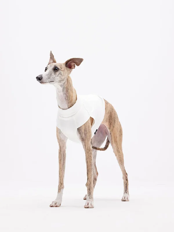 tops with patches for menDog Vest