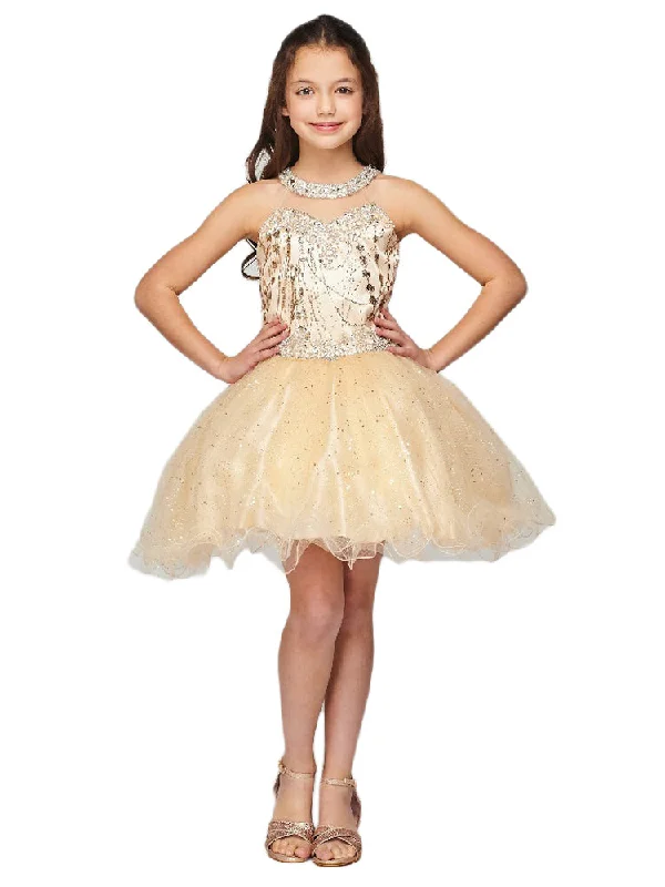 Spring dresses for blossoming stylesGirls Multi Color Illusion Neck Rhinestone Party Junior Bridesmaid Dress 4-16